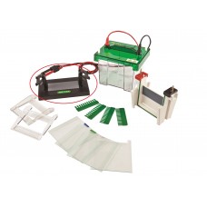 Mini Vertical Electrophoresis Cell (2 gels, 10 x 10cm)