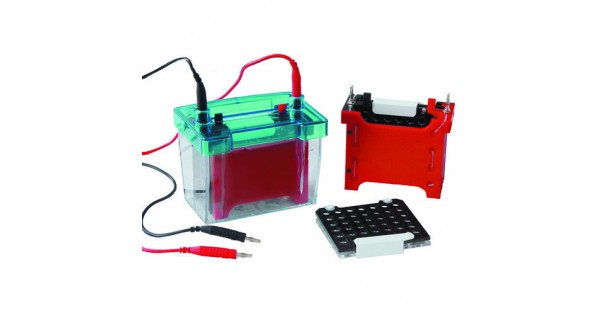 The basics of electrophoresis for nucleic acids and proteins